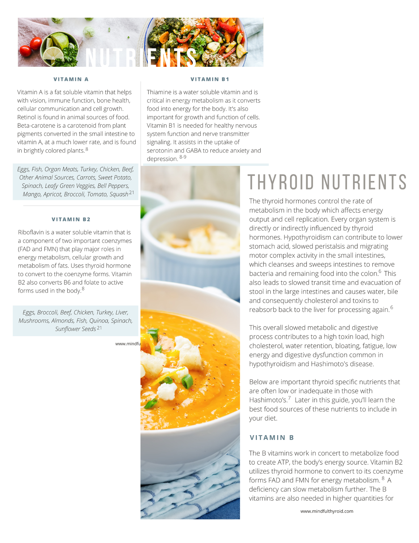 Hashimoto's Harmony Meal Plan