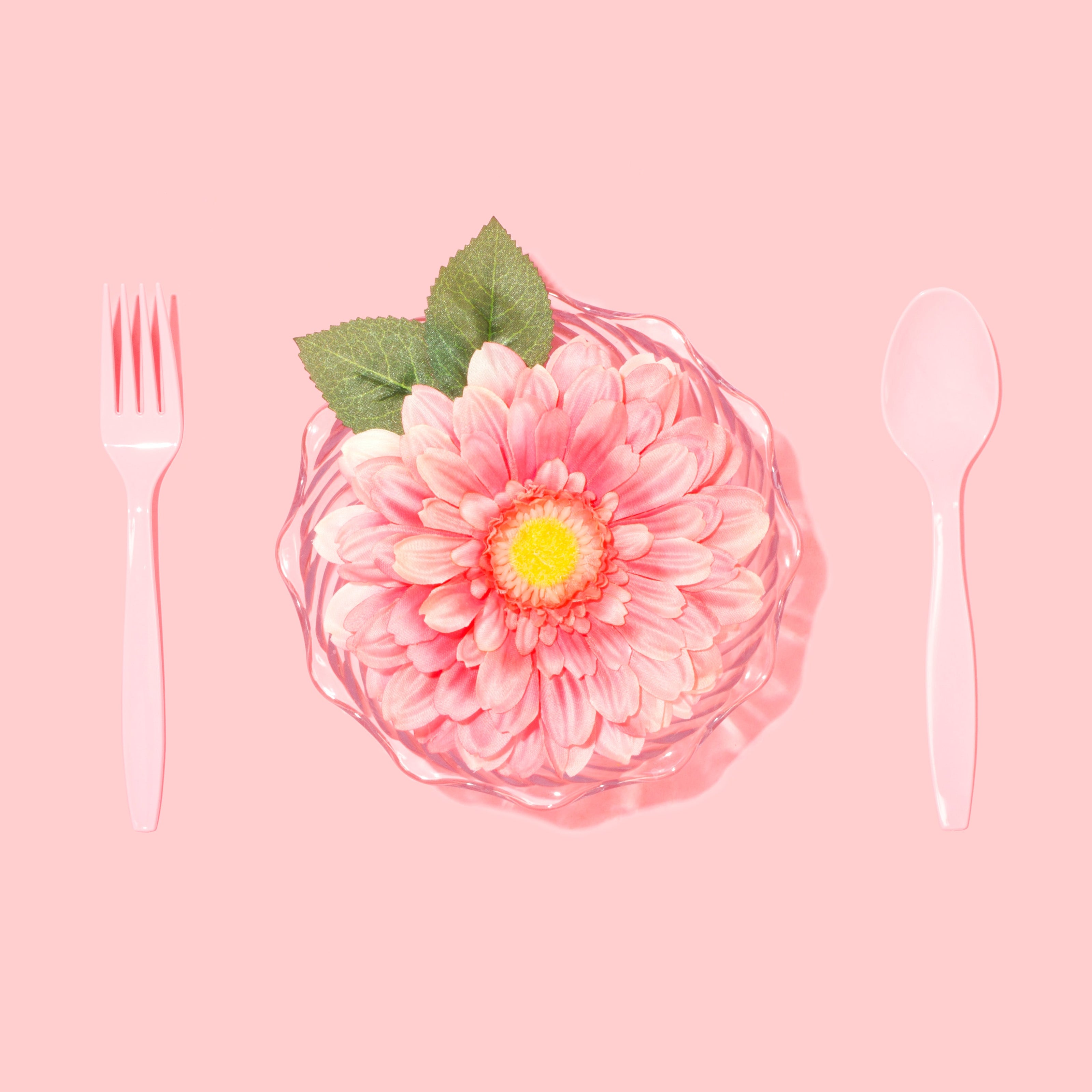 Pink Flower